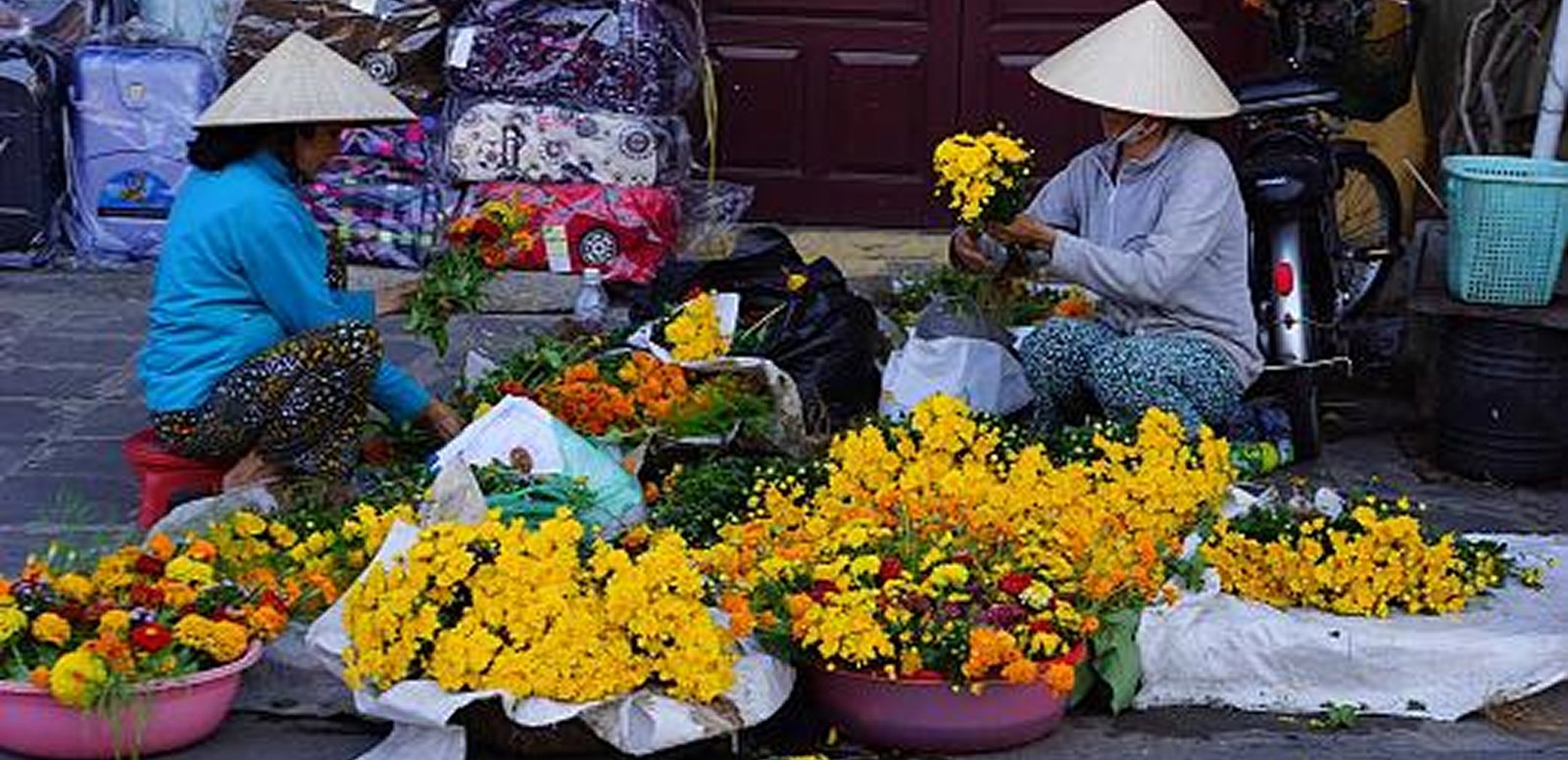 Hoi An Ancient Town Vietnam