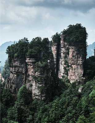 Tringle featured img