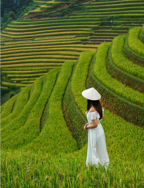 Vietnam Nature & Adventure Explorer – 9 Days Feature