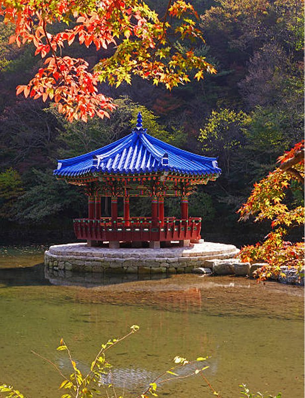 Autumn Colors Korea 2026 Feature