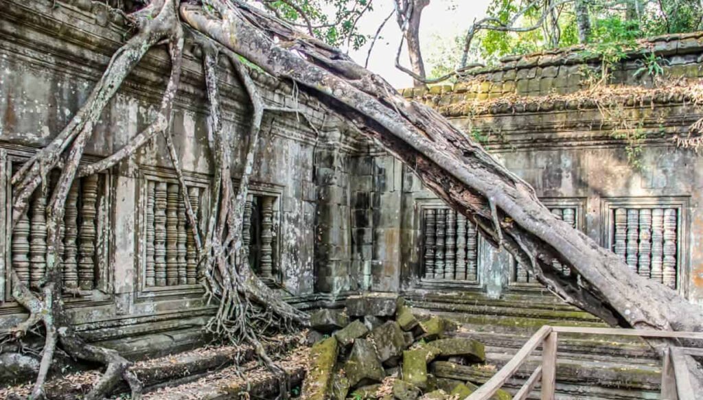 Beng Mealea, Siem Reap