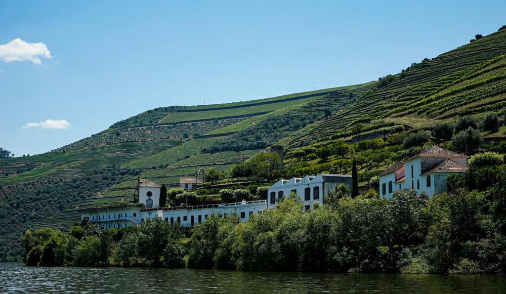 Douro Valley Vineyard , Douro Valley