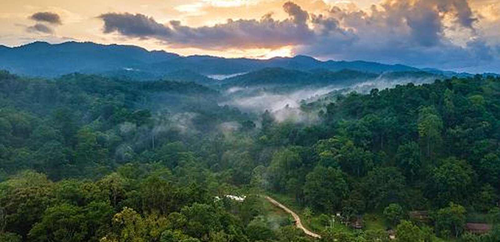 Environment of Jungle Retreat