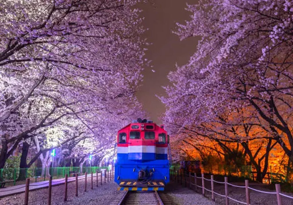 Gyeonghwa Station , Jinhae