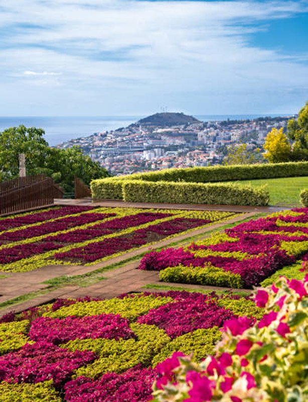 Madeira Flower Festival Tour 2026 Feature