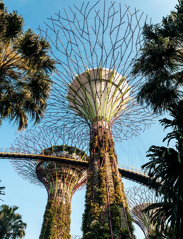 Singapore Indonesia Tour Feature