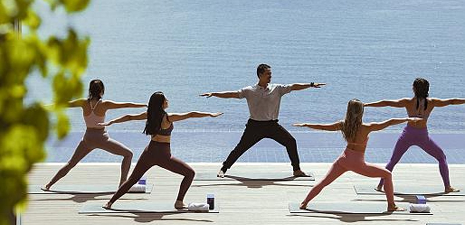 Wellness Movement Class