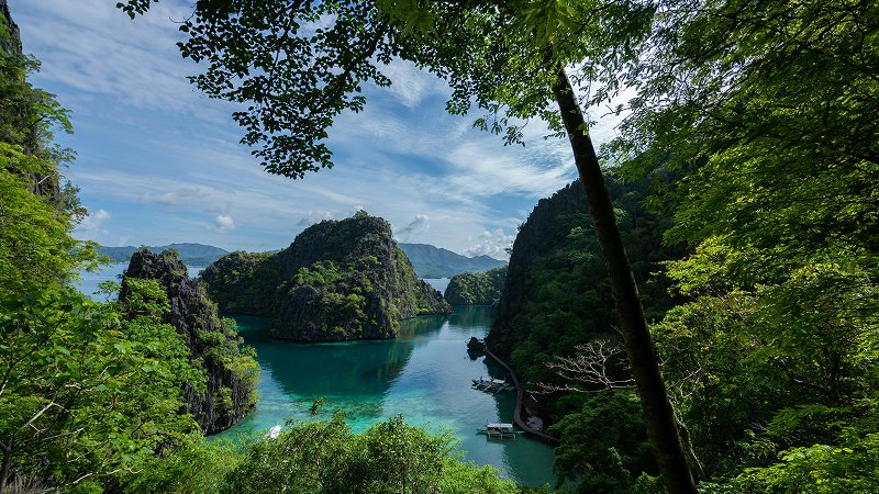 Coron