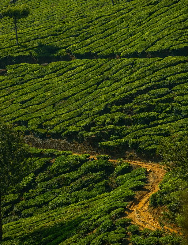 Grand Malaysia Tour with Borneo Feature