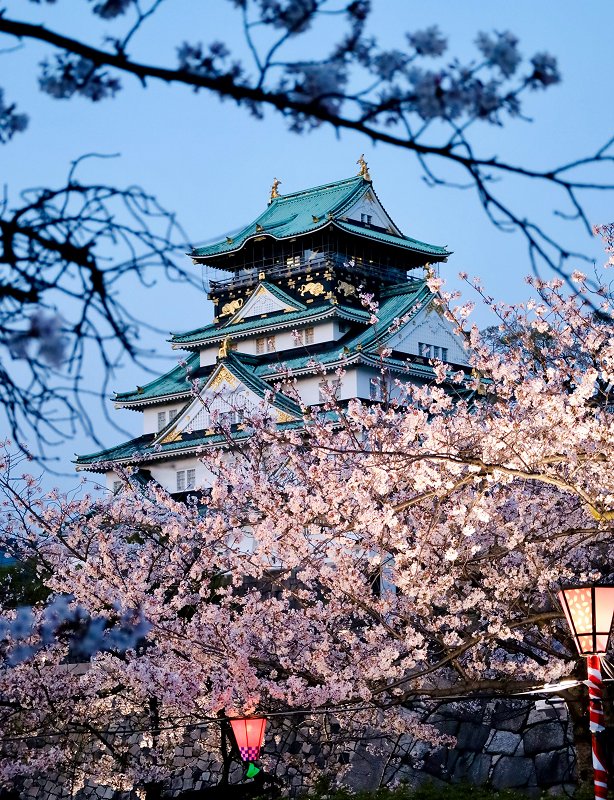 Japan Cherry Blossom Tour Feature