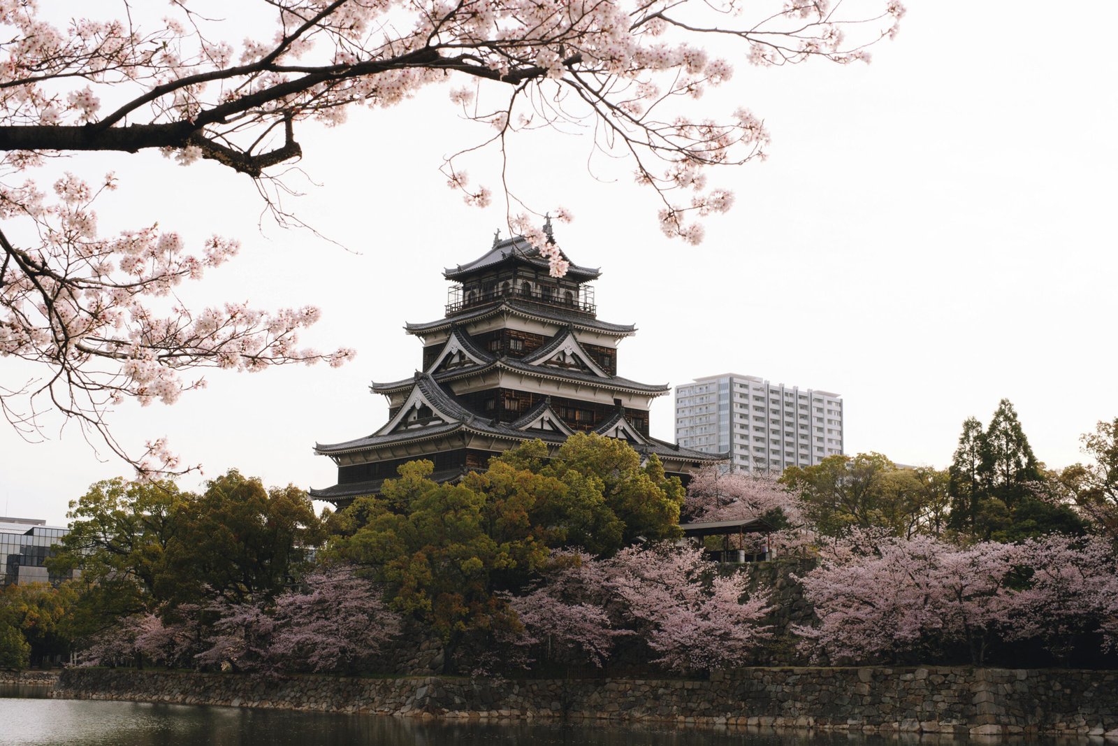 Japan Cherry Blossom Tour