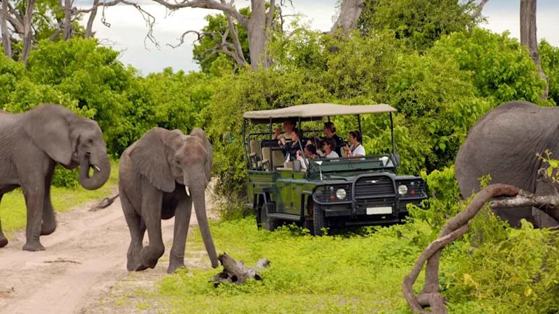 Kruger National Park