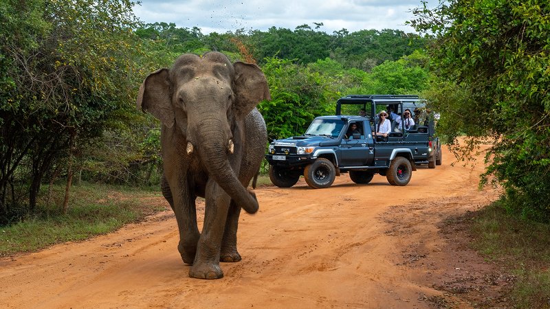 Yala National Park