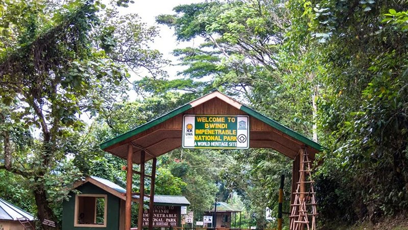 Bwindi Impenetrable National Park