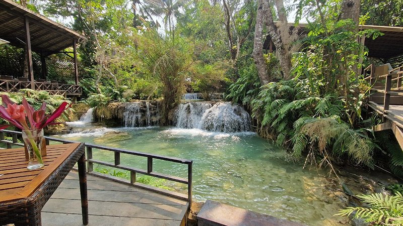 Dine with a View at The View Café