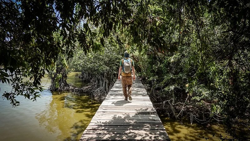 Explore Charco Verde Nature Reserve