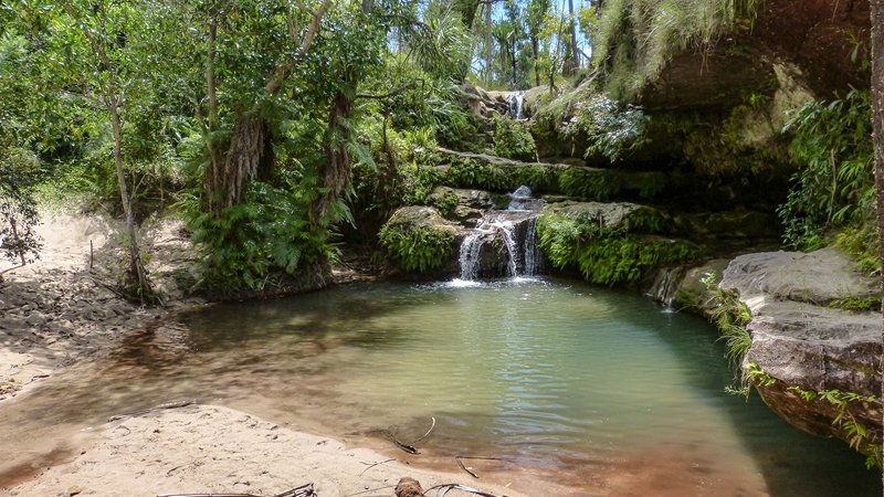 Full Day in Isalo National Park — Canyons, Pools & Ring-Tailed Lemurs
