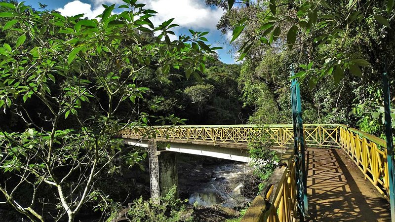 Full Day in Ranomafana National Park — Madagascar’s Biodiversity Crown