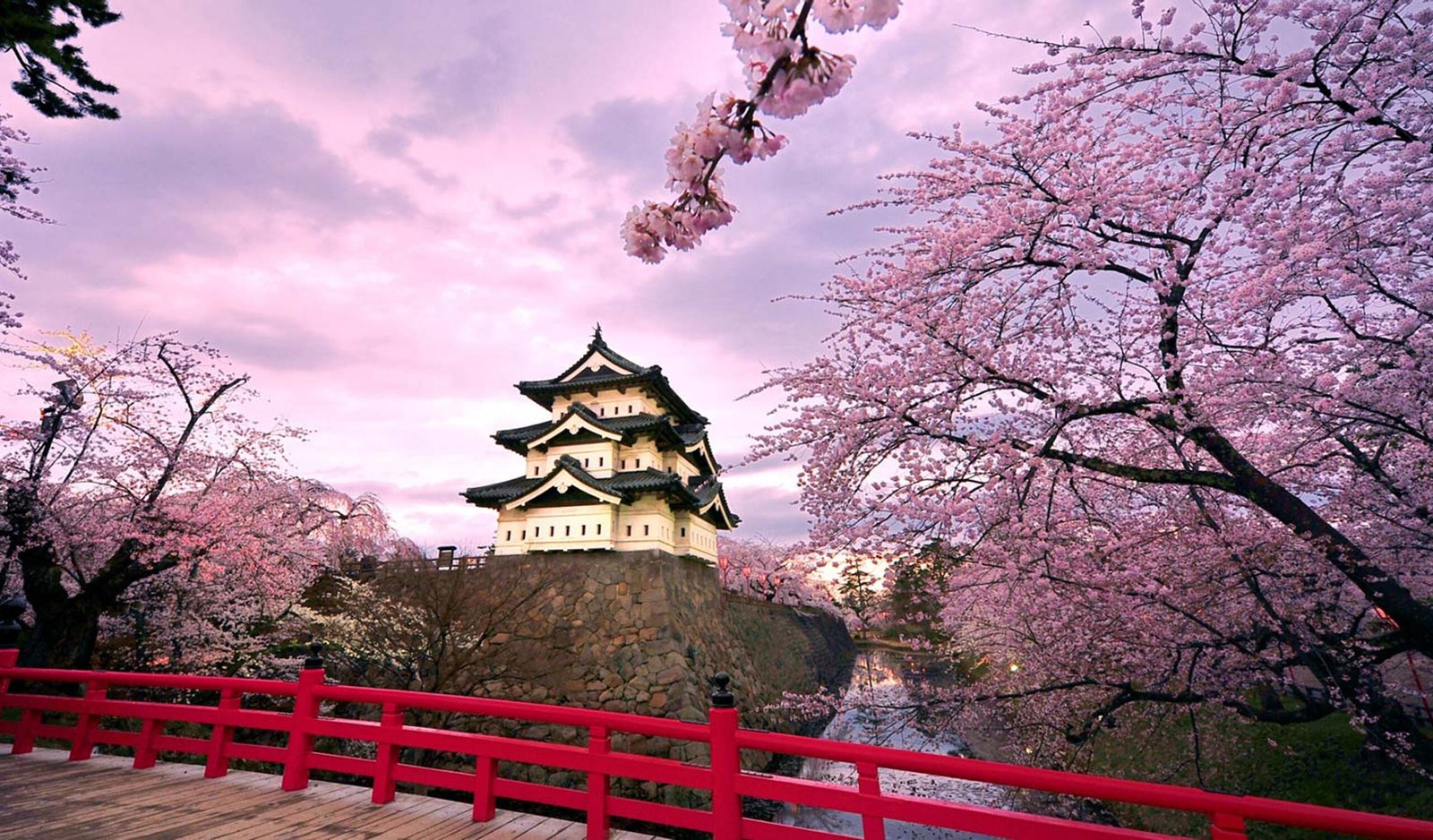 Japan Cherry Blossom Travel Guide 2026 Best Time, Top Spots & Sakura Tips