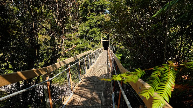 Kaitoke Regional Park – Upper Hutt, Wellington (Rivendell)