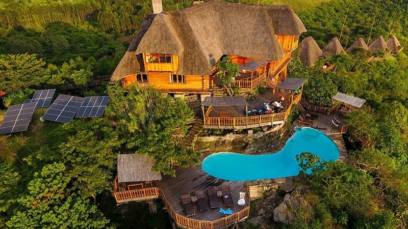 Kibale Forest National Park