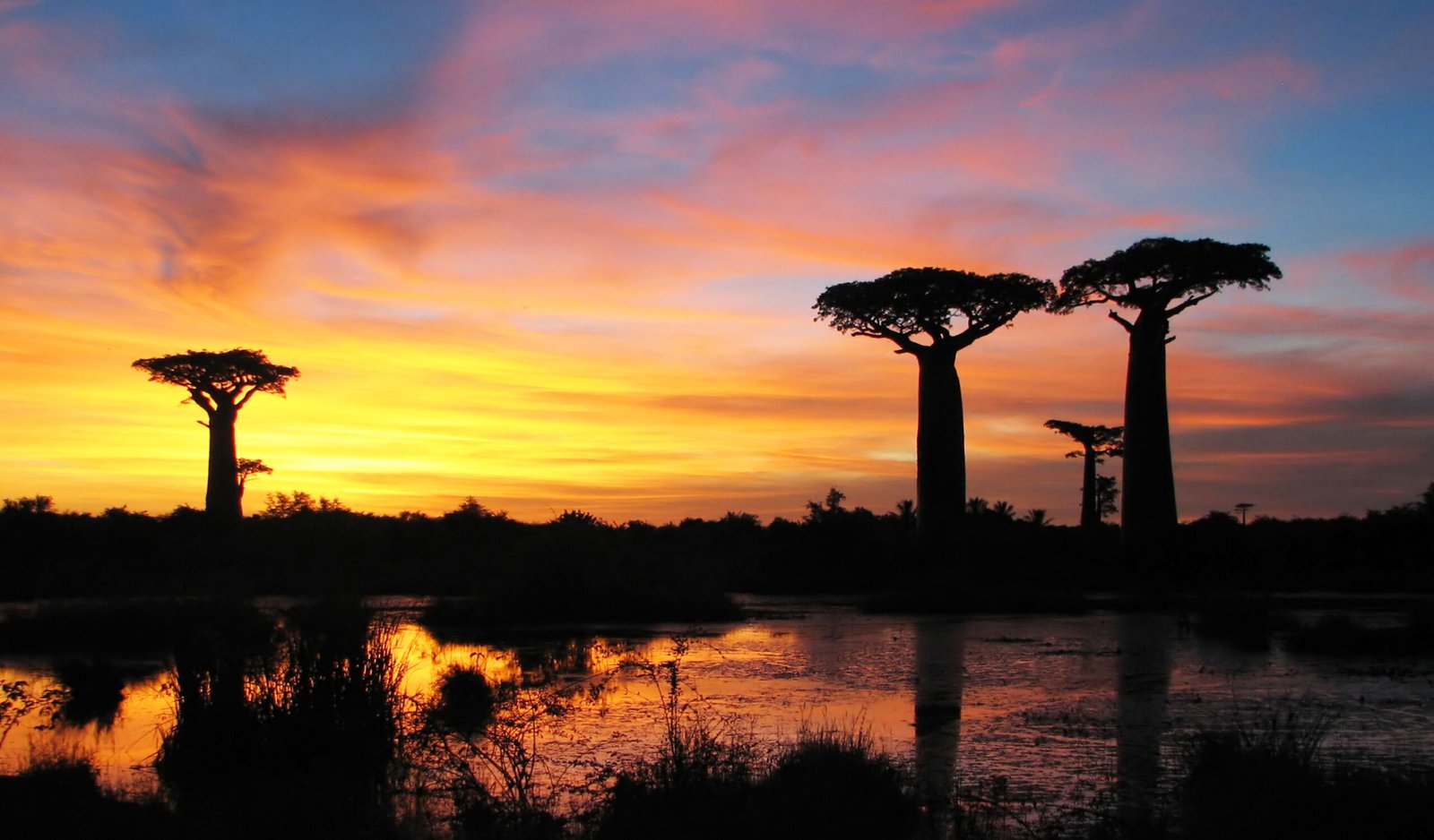 Madagascar 10 Day Itinerary The Ultimate Step-by-Step Travel Guide (2026) Feature