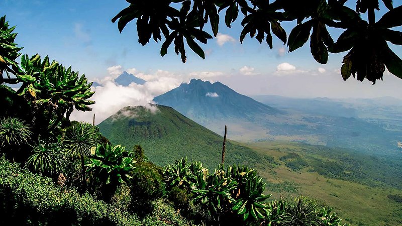 Mgahinga Gorilla National Park