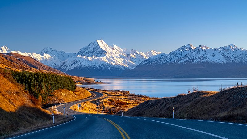 New Zealand Road Trip