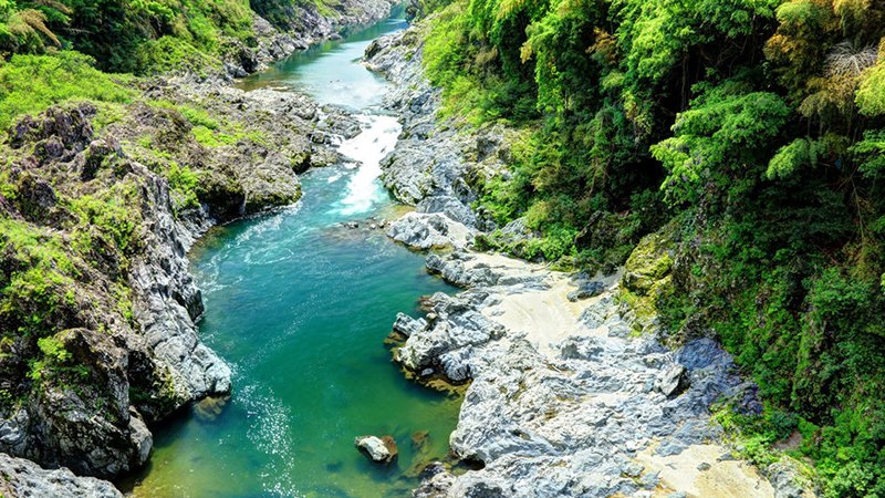 Pelorus River – Marlborough (The Barrel Scene, The Hobbit)