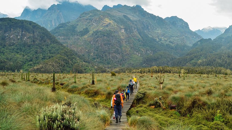 Rwenzori Mountains National Park