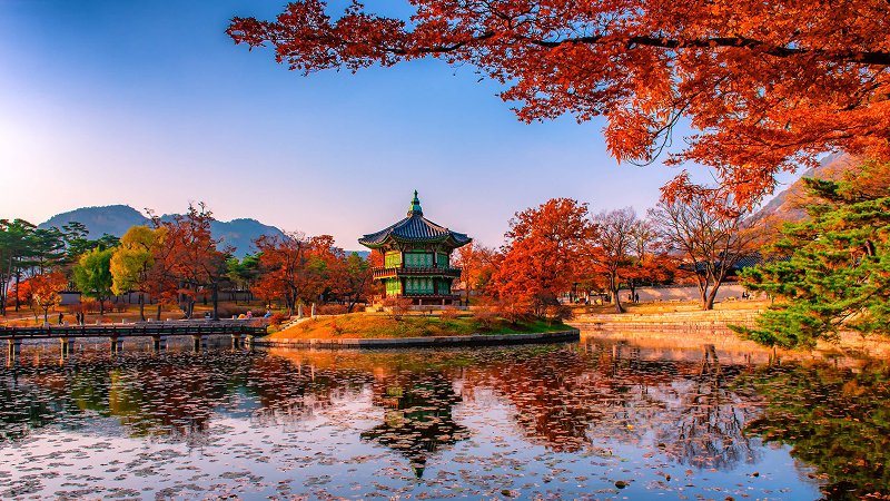 Seoul A City from the Future