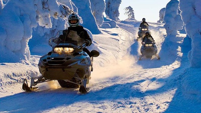 Snowmobile Safari