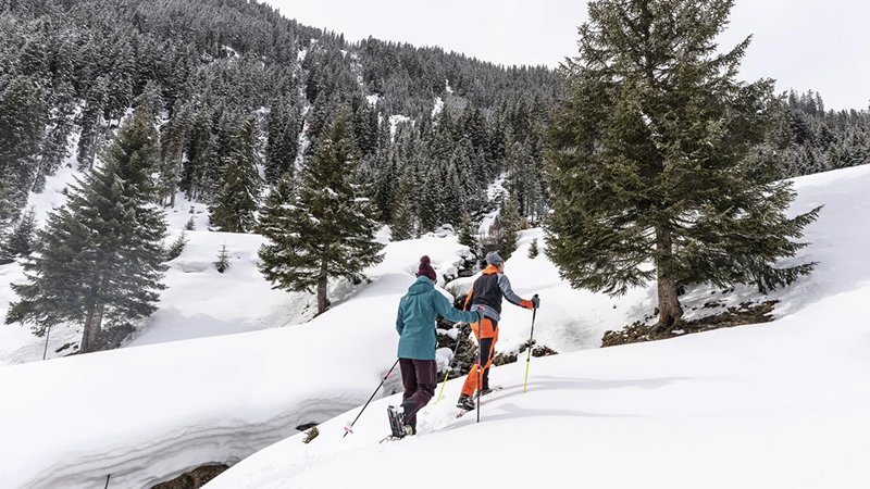 Snowshoeing and Winter Hiking