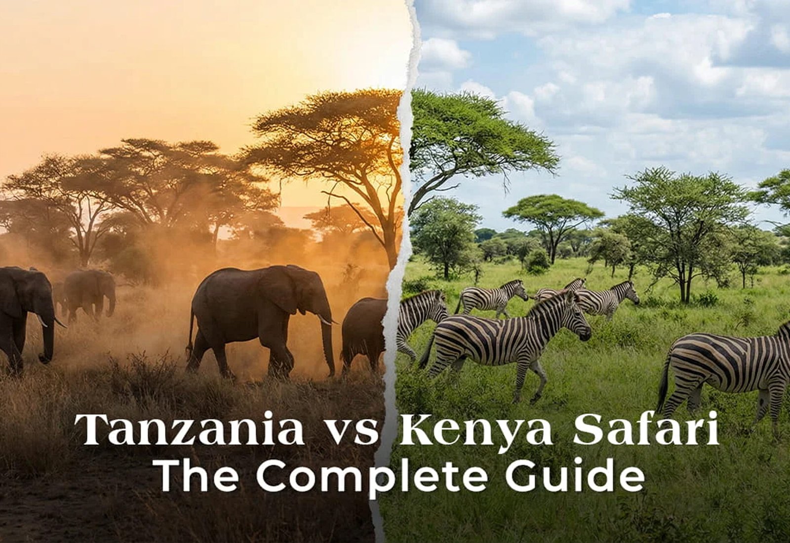 Tanzania vs Kenya Safari – Which African Safari Is Better in 2026 Feature