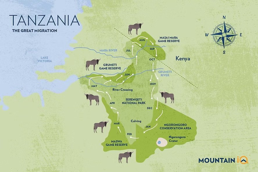 The Great Migration 2026 – Tanzania vs Kenya