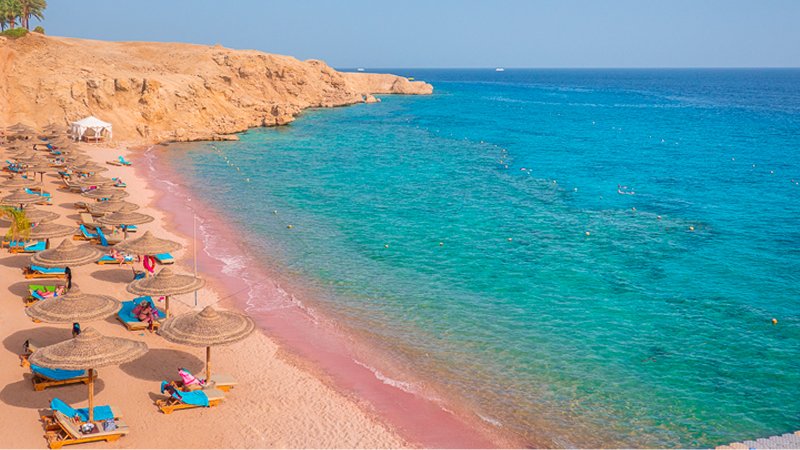 The Red Sea — Diving & Beach Paradise