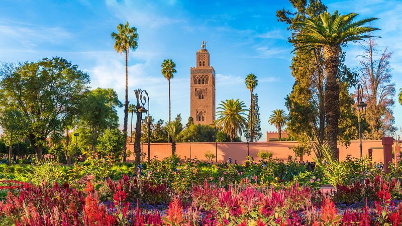Visit the Koutoubia Mosque and Gardens