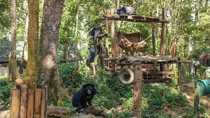 Visit the Tat Kuang Si Bear Rescue Centre