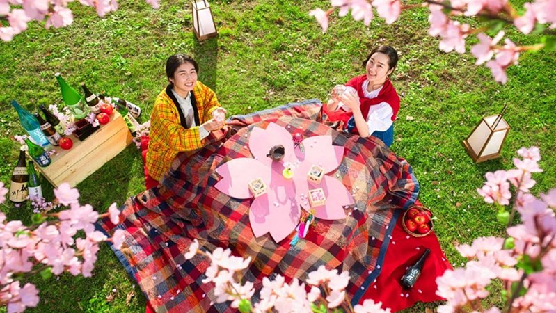 What Is Hanami The Tradition Behind the Blossoms