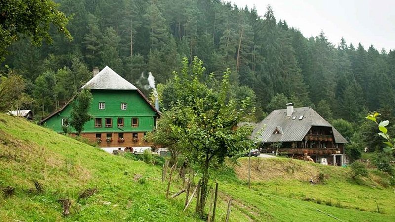 WiesenBett Hilserhof (Feather Down Farm) — Triberg