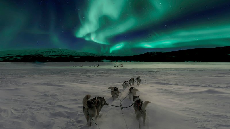 Winter Activities to Combine With Northern Lights