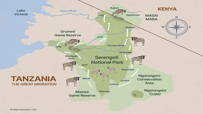 Best time to visit Kenya for the Great Wildebeest Migration 2025 – July to October